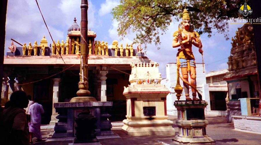 Narapura Venkateswara Swamy Temple Jammalamadugu